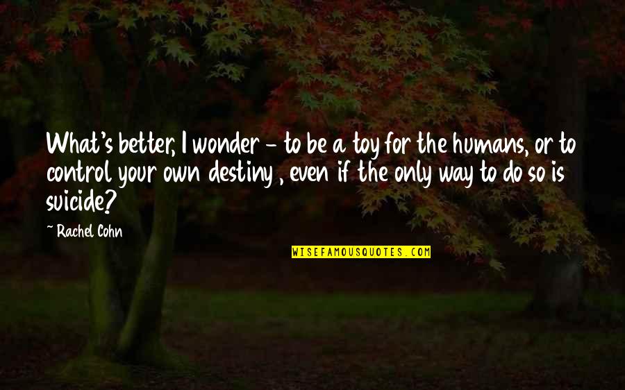 What Is Destiny Quotes By Rachel Cohn: What's better, I wonder - to be a