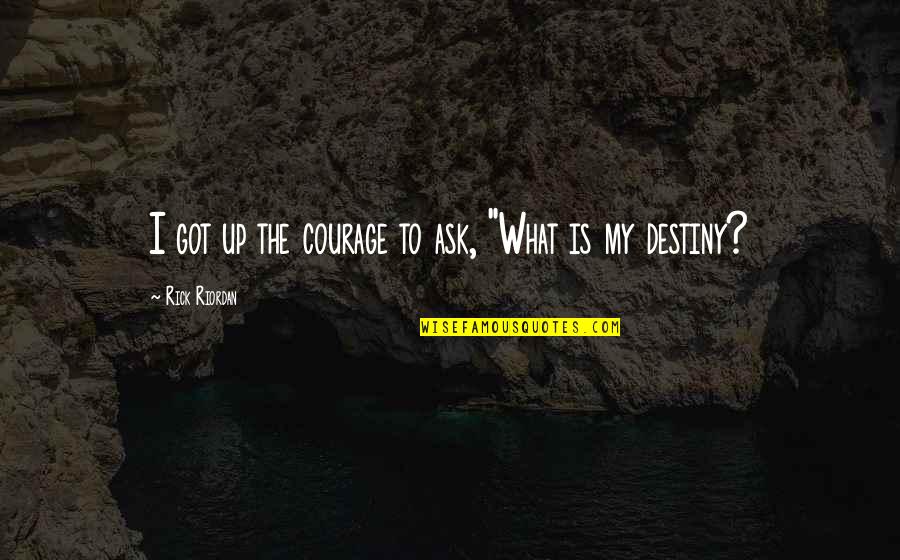 What Is Destiny Quotes By Rick Riordan: I got up the courage to ask, "What