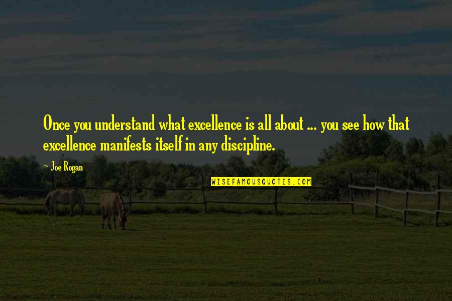 What Is Discipline Quotes By Joe Rogan: Once you understand what excellence is all about What Is Discipline Quotes By Joe Rogan: Once you understand what excellence is all about