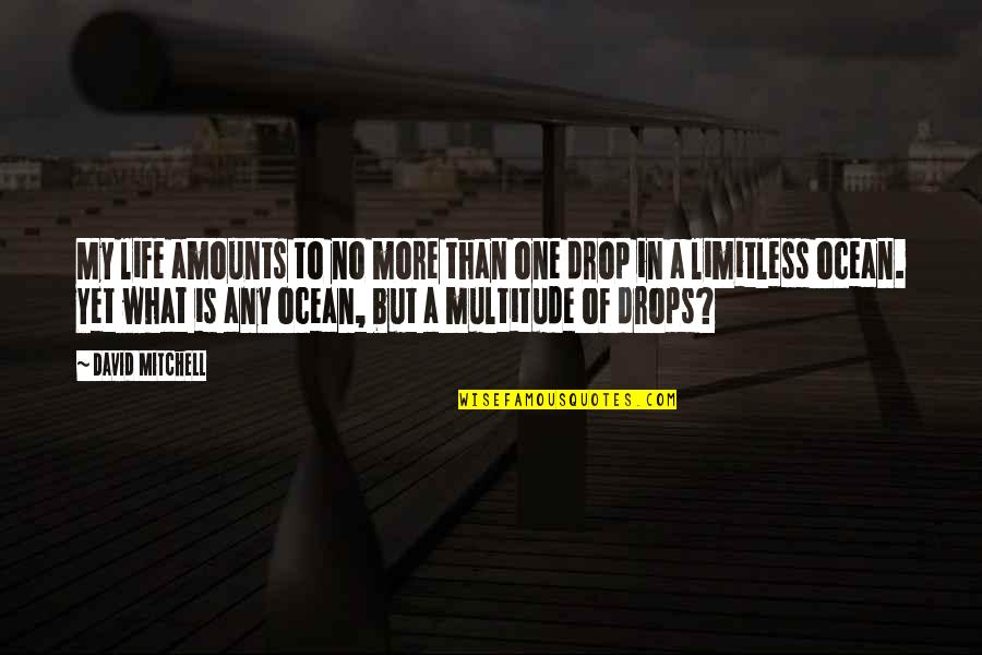 What Is Drop Quotes By David Mitchell: My life amounts to no more than one