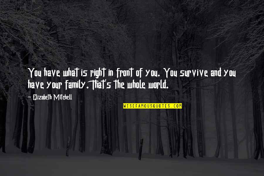 What Is Family Quotes By Elizabeth Mitchell: You have what is right in front of What Is Family Quotes By Elizabeth Mitchell: You have what is right in front of