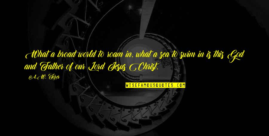 What Is Father Quotes By A.W. Tozer: What a broad world to roam in, what What Is Father Quotes By A.W. Tozer: What a broad world to roam in, what