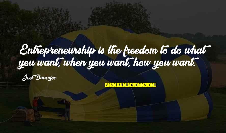 What Is Freedom Quotes By Jeet Banerjee: Entrepreneurship is the freedom to do what you