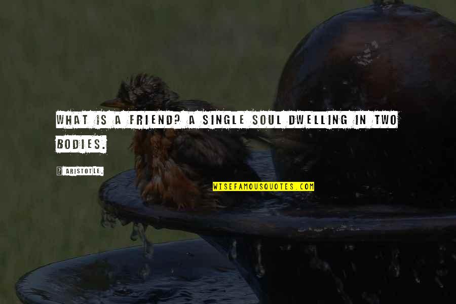 What Is Friend Quotes By Aristotle.: What is a friend? A single soul dwelling