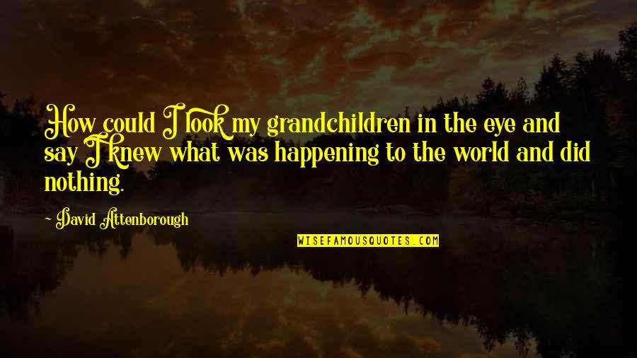 What Is Happening In The World Quotes By David Attenborough: How could I look my grandchildren in the What Is Happening In The World Quotes By David Attenborough: How could I look my grandchildren in the