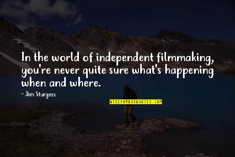 What Is Happening In The World Quotes By Jim Sturgess: In the world of independent filmmaking, you're never What Is Happening In The World Quotes By Jim Sturgess: In the world of independent filmmaking, you're never
