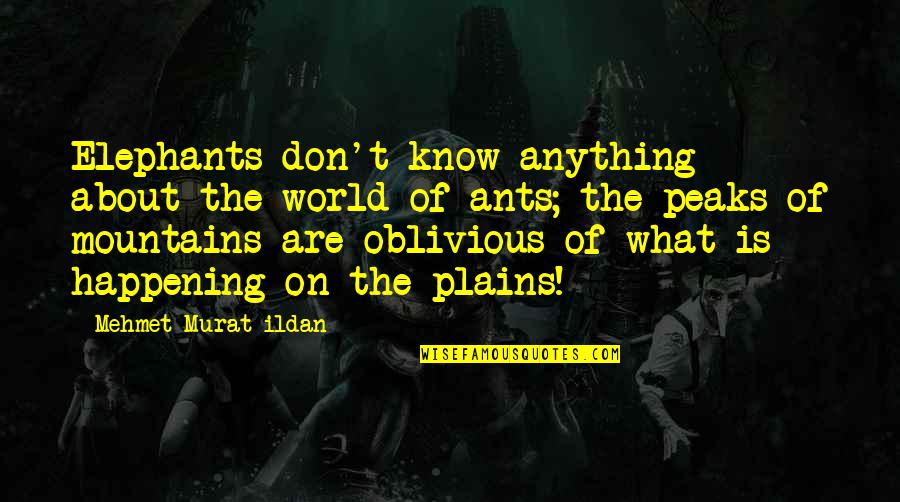 What Is Happening In The World Quotes By Mehmet Murat Ildan: Elephants don't know anything about the world of What Is Happening In The World Quotes By Mehmet Murat Ildan: Elephants don't know anything about the world of