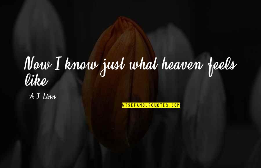 What Is Heaven Like Quotes By A.J. Linn: Now I know just what heaven feels like...