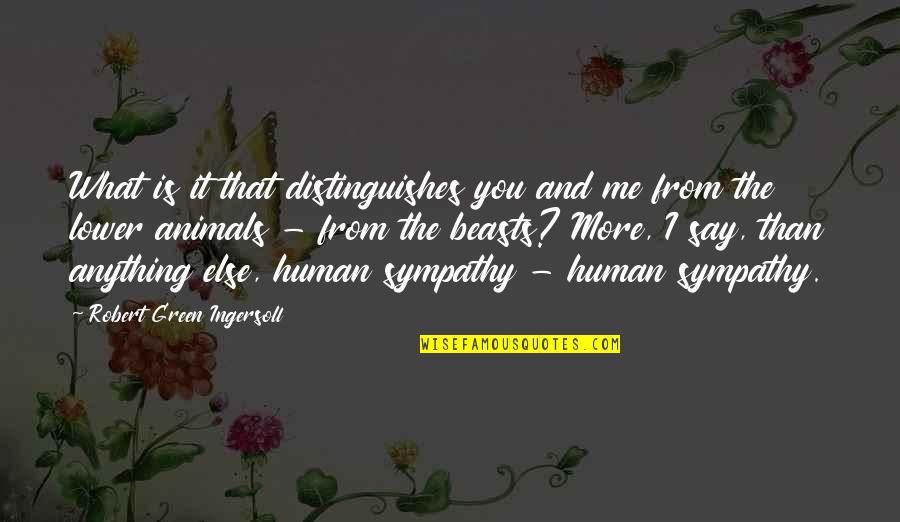 What Is Human Quotes By Robert Green Ingersoll: What is it that distinguishes you and me What Is Human Quotes By Robert Green Ingersoll: What is it that distinguishes you and me