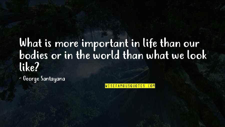 What Is Important In Life Quotes By George Santayana: What is more important in life than our