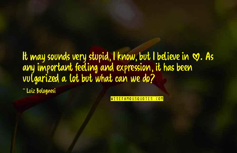 What Is Important In Love Quotes By Luiz Bolognesi: It may sounds very stupid, I know, but