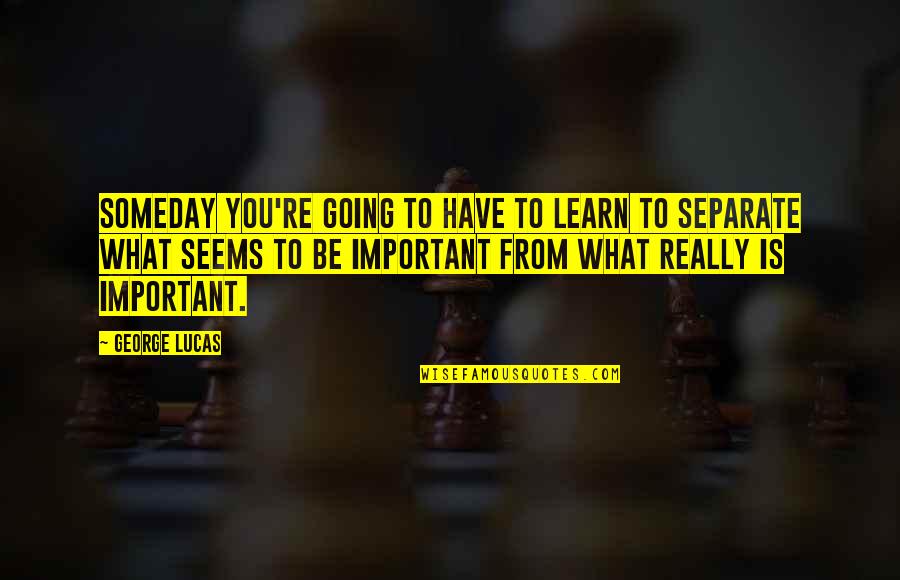 What Is Important To You Quotes By George Lucas: Someday you're going to have to learn to