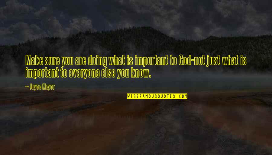 What Is Important To You Quotes By Joyce Meyer: Make sure you are doing what is important