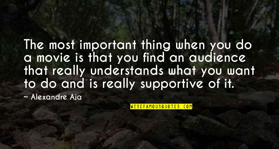 What Is It You Want Quotes By Alexandre Aja: The most important thing when you do a