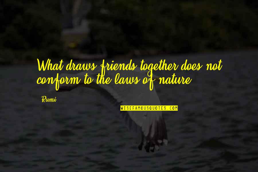What Is Law Of Nature Quotes By Rumi: What draws friends together does not conform to