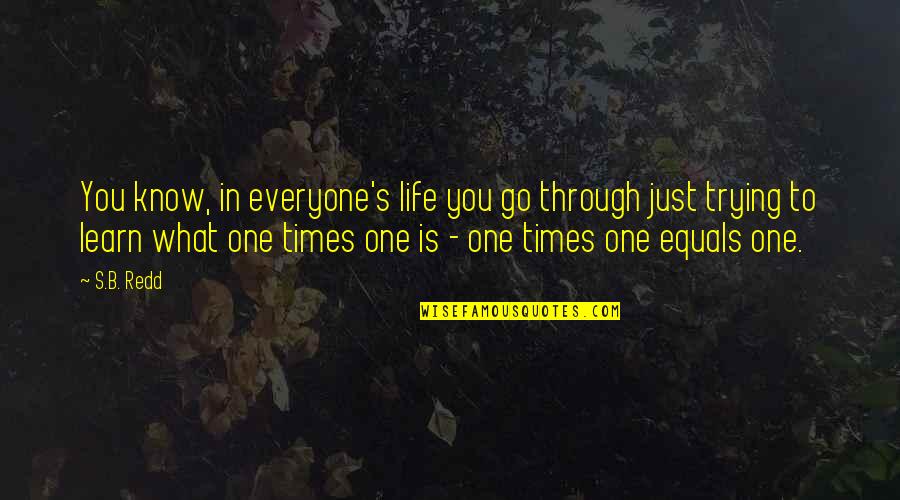 What Is Life To You Quotes By S.B. Redd: You know, in everyone's life you go through