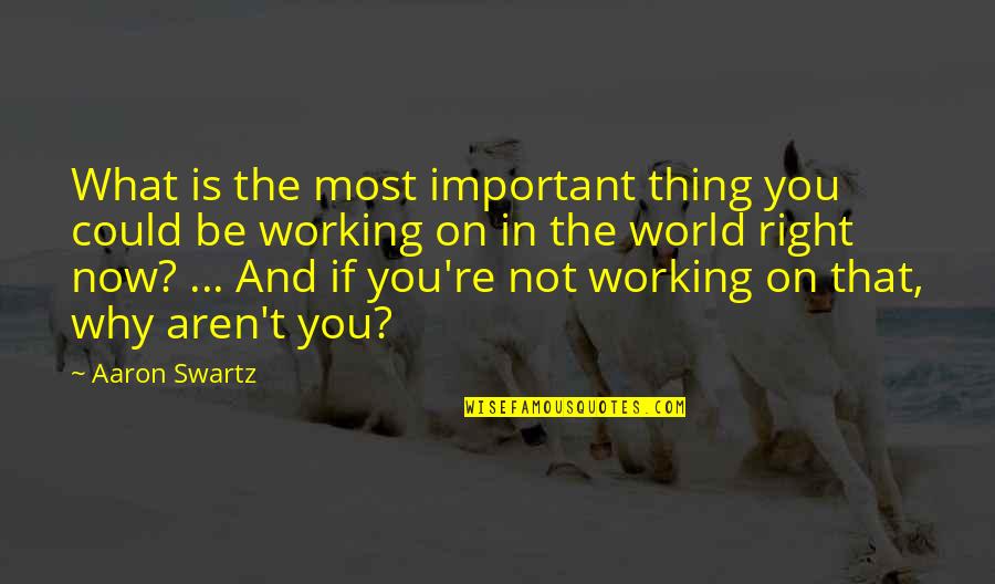 What Is Most Important Quotes By Aaron Swartz: What is the most important thing you could What Is Most Important Quotes By Aaron Swartz: What is the most important thing you could