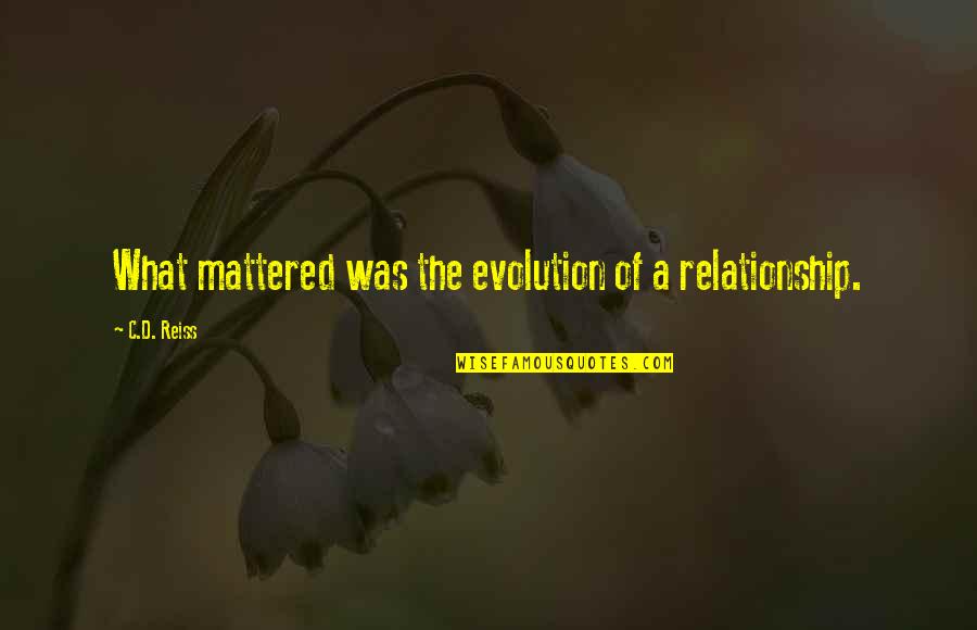 What Is Our Relationship Quotes By C.D. Reiss: What mattered was the evolution of a relationship. What Is Our Relationship Quotes By C.D. Reiss: What mattered was the evolution of a relationship.