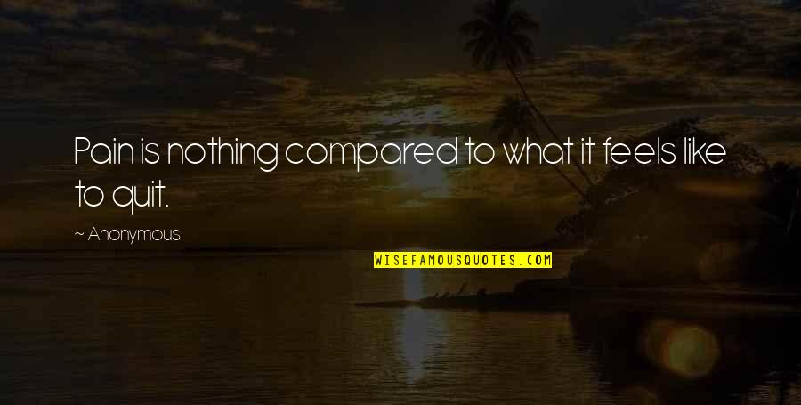 What Is Pain Quotes By Anonymous: Pain is nothing compared to what it feels