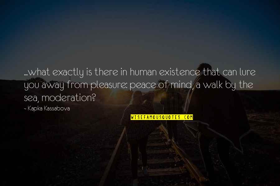 What Is Peace Quotes By Kapka Kassabova: ...what exactly is there in human existence that What Is Peace Quotes By Kapka Kassabova: ...what exactly is there in human existence that