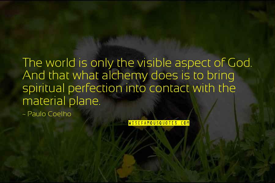 What Is Perfection Quotes By Paulo Coelho: The world is only the visible aspect of