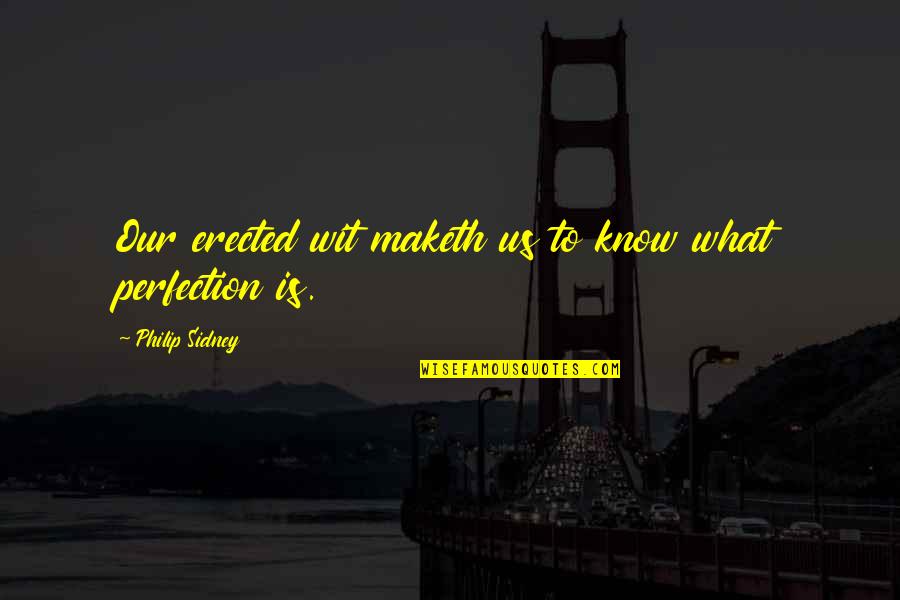 What Is Perfection Quotes By Philip Sidney: Our erected wit maketh us to know what