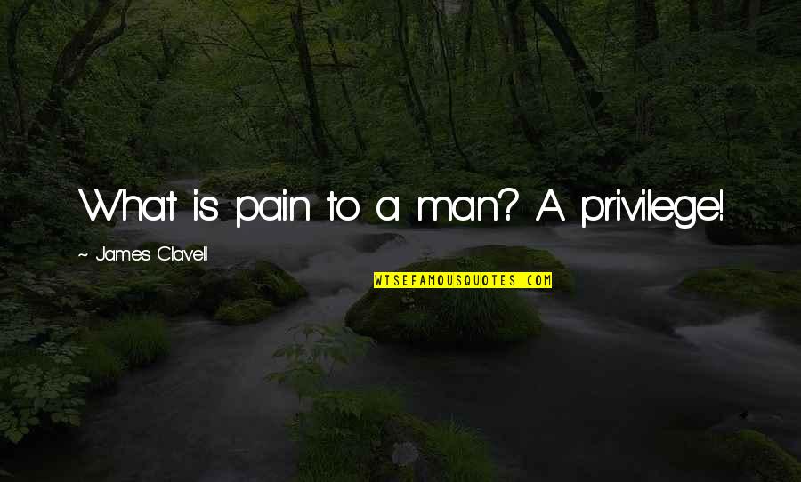 What Is Privilege Quotes By James Clavell: What is pain to a man? A privilege! What Is Privilege Quotes By James Clavell: What is pain to a man? A privilege!