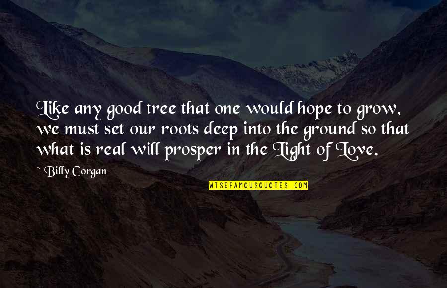 What Is Real Love Quotes By Billy Corgan: Like any good tree that one would hope What Is Real Love Quotes By Billy Corgan: Like any good tree that one would hope
