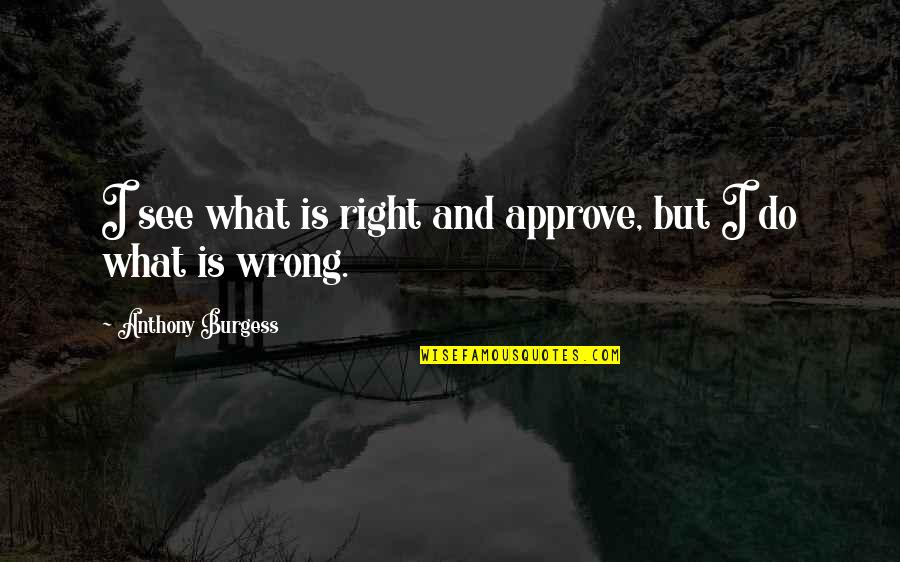 What Is Right And Wrong Quotes By Anthony Burgess: I see what is right and approve, but