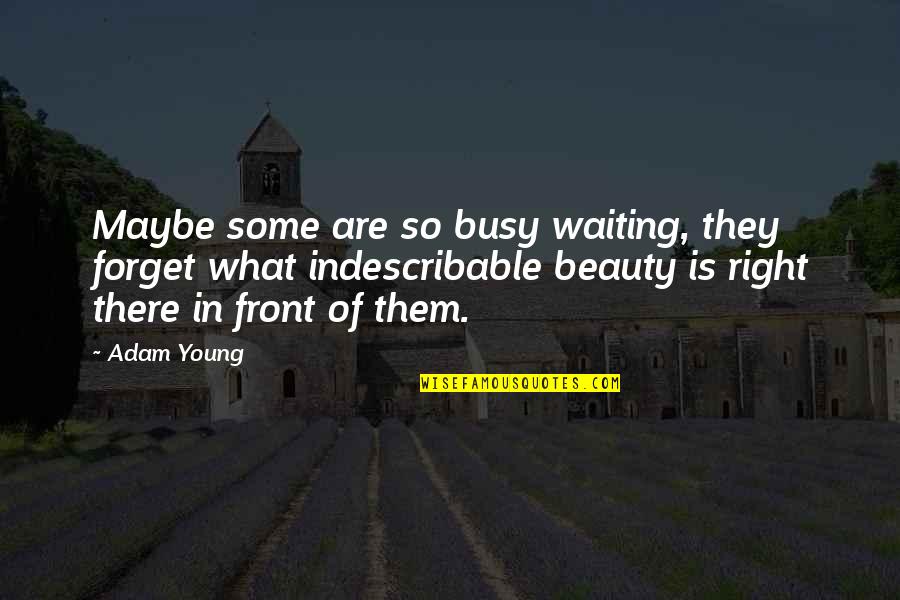 What Is Right In Front Of You Quotes By Adam Young: Maybe some are so busy waiting, they forget What Is Right In Front Of You Quotes By Adam Young: Maybe some are so busy waiting, they forget