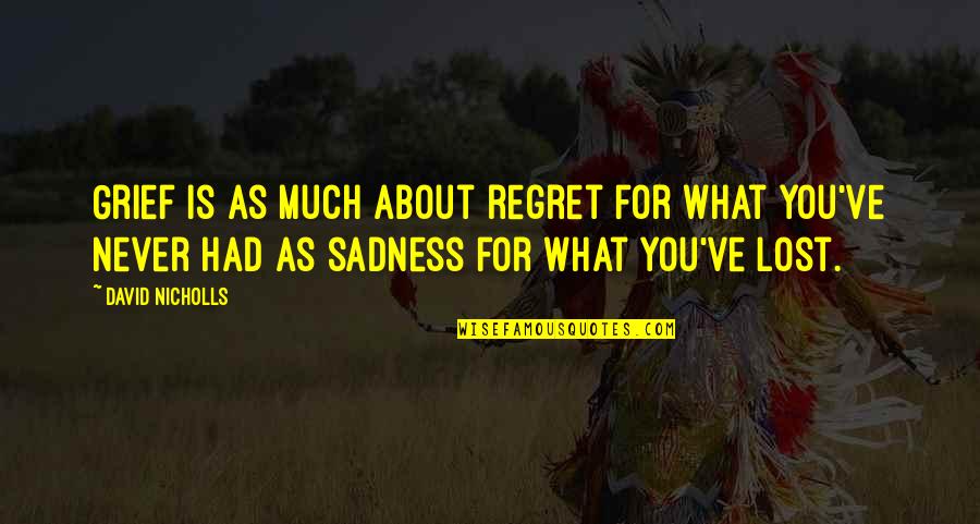 What Is Sadness Quotes By David Nicholls: Grief is as much about regret for what