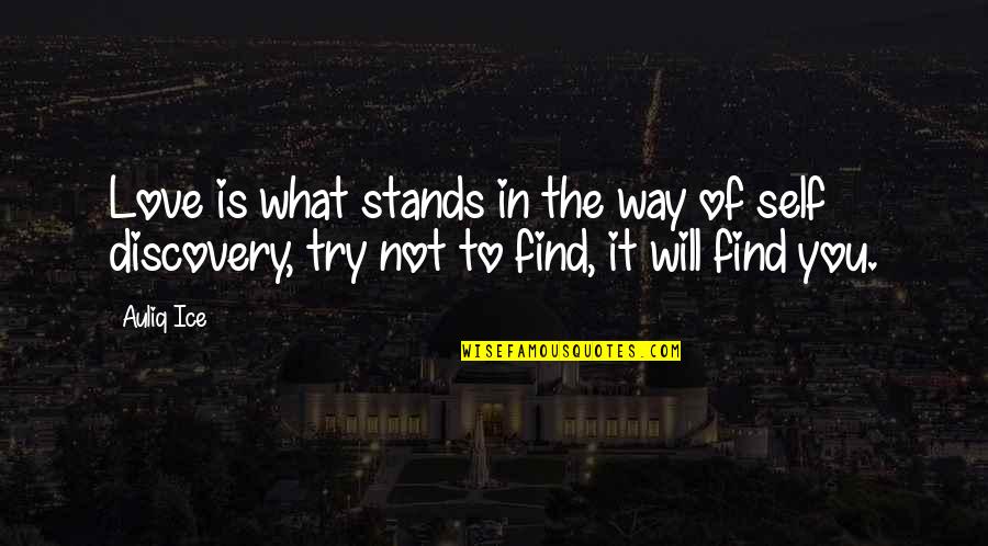 What Is Self Love Quotes By Auliq Ice: Love is what stands in the way of