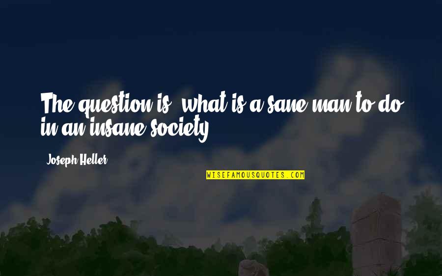 What Is Society Quotes By Joseph Heller: The question is: what is a sane man