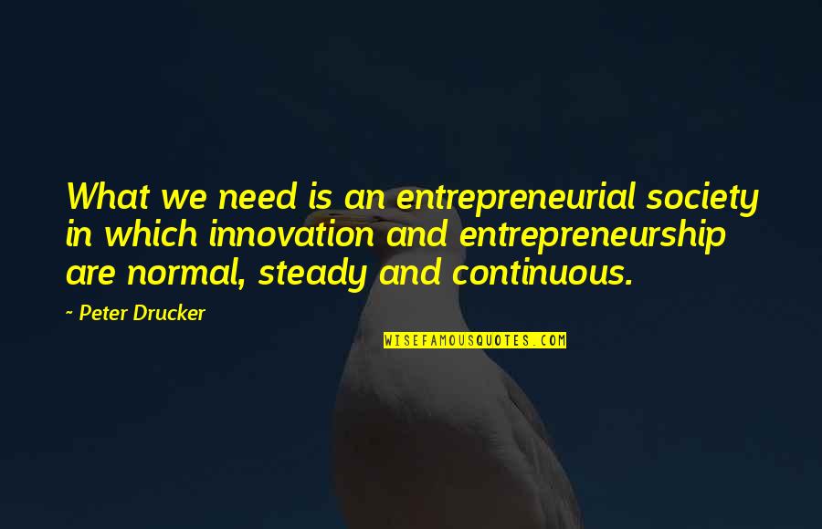What Is Society Quotes By Peter Drucker: What we need is an entrepreneurial society in