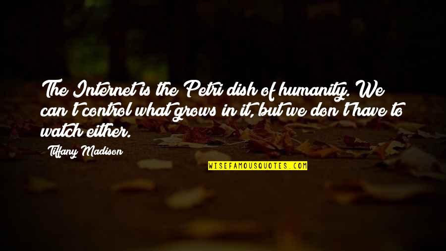What Is Society Quotes By Tiffany Madison: The Internet is the Petri dish of humanity.