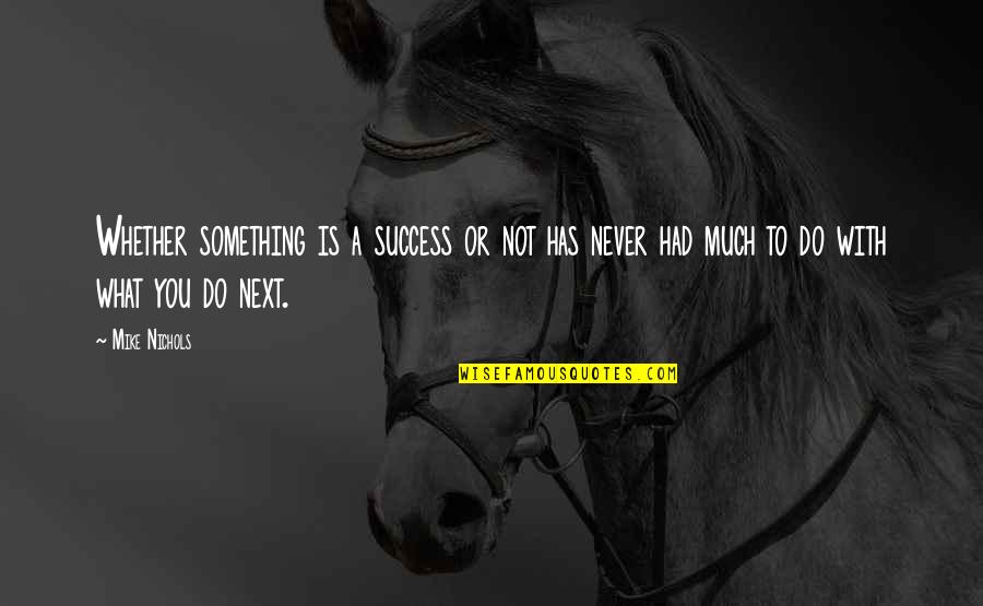 What Is Success Quotes By Mike Nichols: Whether something is a success or not has