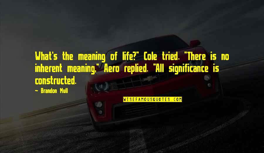 What Is The Meaning Of Life Quotes By Brandon Mull: What's the meaning of life?" Cole tried. "There