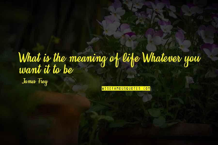 What Is The Meaning Of Life Quotes By James Frey: What is the meaning of life?Whatever you want