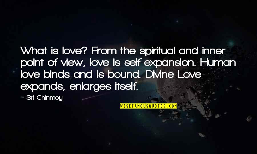 What Is The Point Of View In Quotes By Sri Chinmoy: What is love? From the spiritual and inner