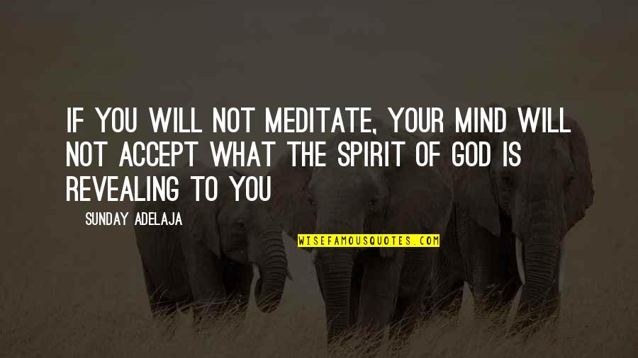 What Is The Purpose Of Life Quotes By Sunday Adelaja: If you will not meditate, your mind will