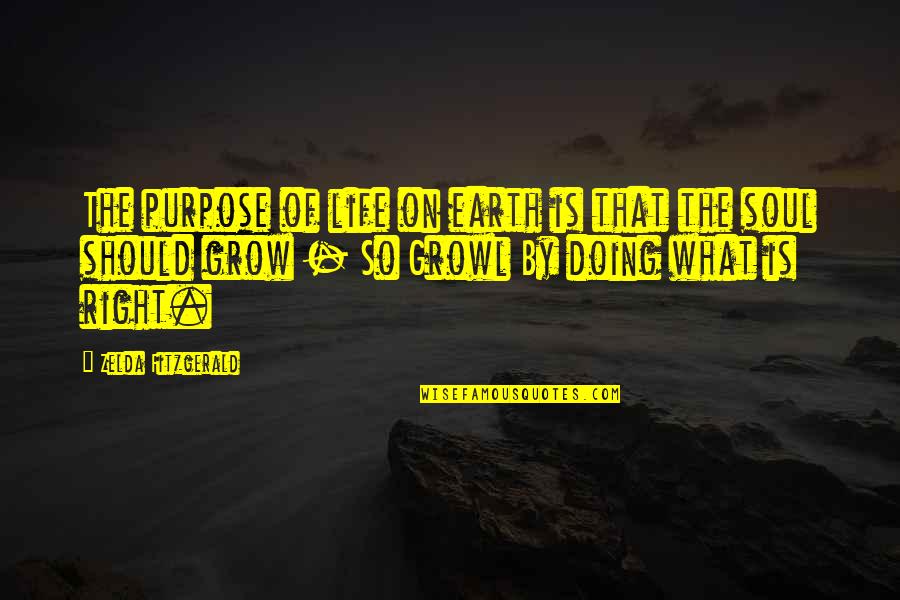 What Is The Purpose Of Life Quotes By Zelda Fitzgerald: The purpose of life on earth is that