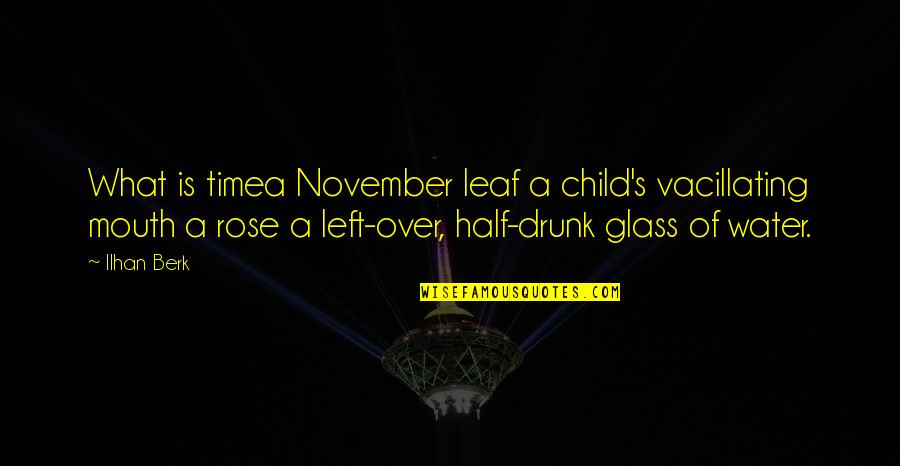 What Is Water Quotes By Ilhan Berk: What is timea November leaf a child's vacillating What Is Water Quotes By Ilhan Berk: What is timea November leaf a child's vacillating