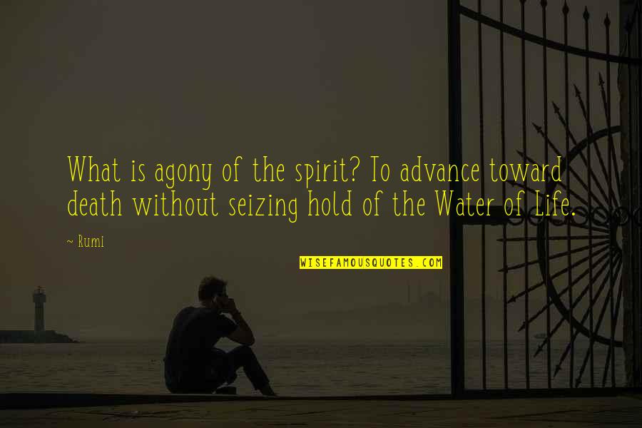 What Is Water Quotes By Rumi: What is agony of the spirit? To advance What Is Water Quotes By Rumi: What is agony of the spirit? To advance