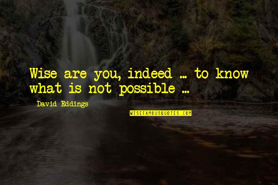 What Is Wise Quotes By David Eddings: Wise are you, indeed ... to know what