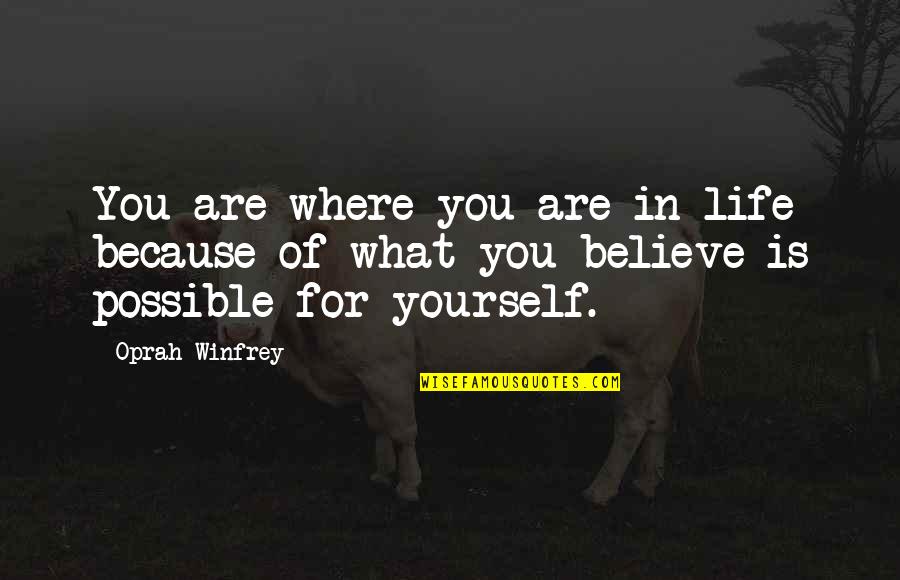 What Is Wise Quotes By Oprah Winfrey: You are where you are in life because