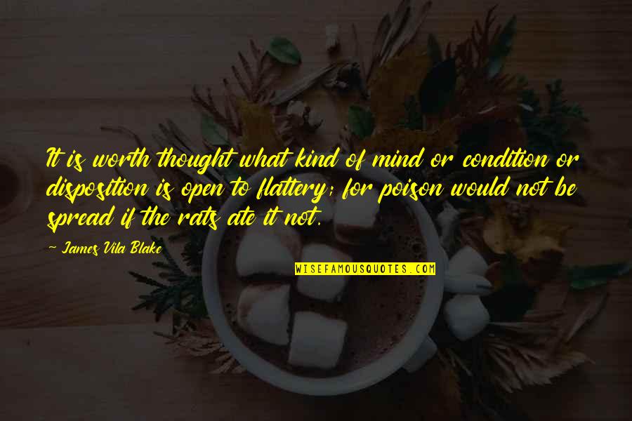 What Is Worth It Quotes By James Vila Blake: It is worth thought what kind of mind