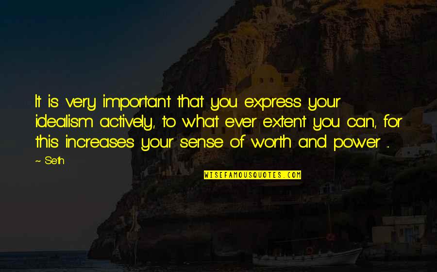 What Is Worth It Quotes By Seth: It is very important that you express your