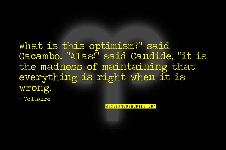 What Is Wrong Quotes By Voltaire: What is this optimism?" said Cacambo. "Alas!" said