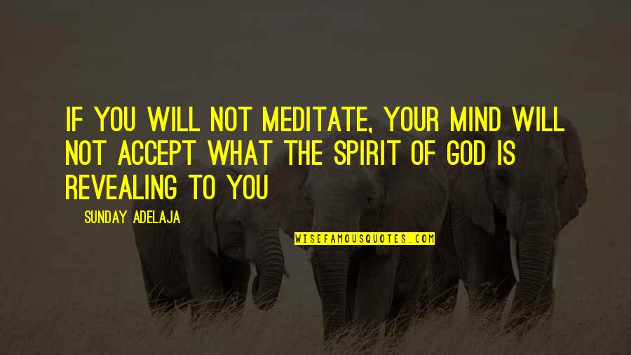 What Is Your Life Goal Quotes By Sunday Adelaja: If you will not meditate, your mind will