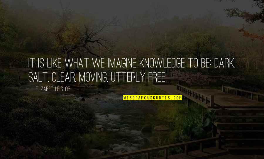 What It Is Like To Be Free Quotes By Elizabeth Bishop: It is like what we imagine knowledge to